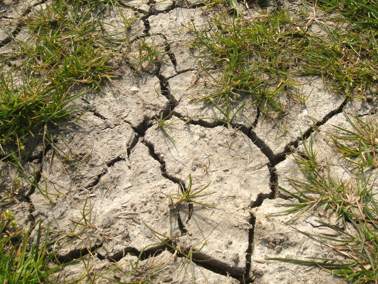 Áreas degradadas 7 passos para recuperar Oby Ambiental